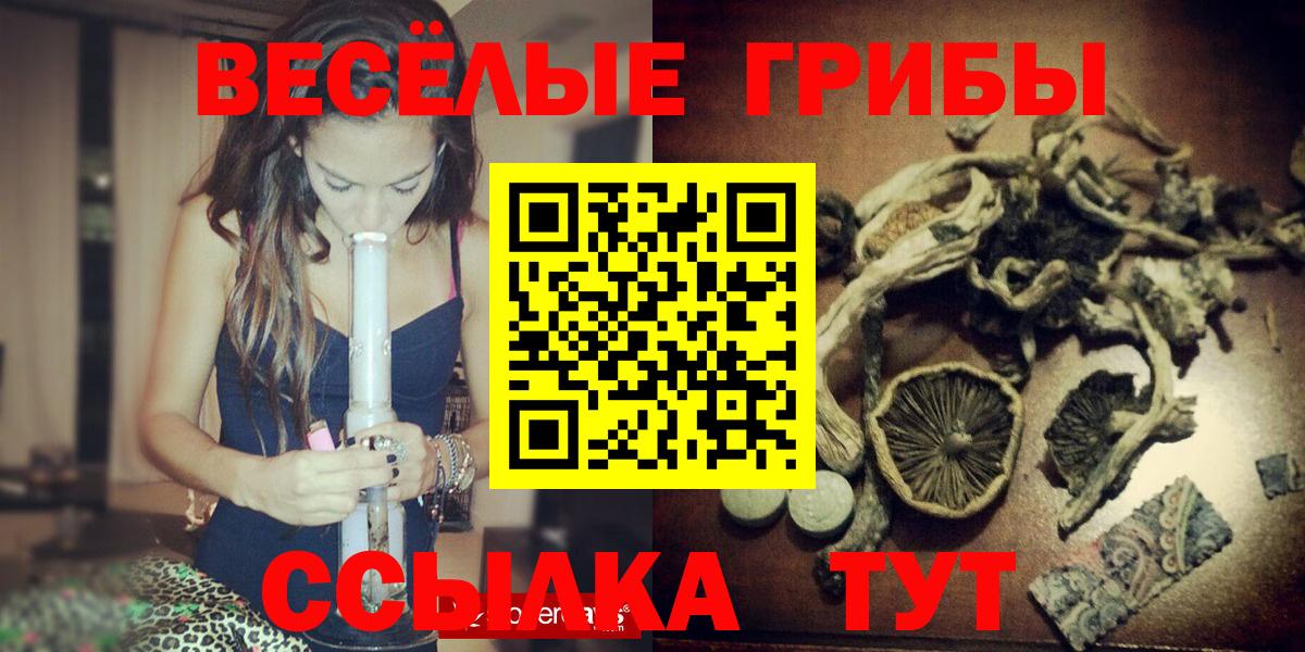 Бузулук  Псилоцибиновые грибы Psilocybe  Псилоцибиновые грибы мицелий  Вход с VPN 